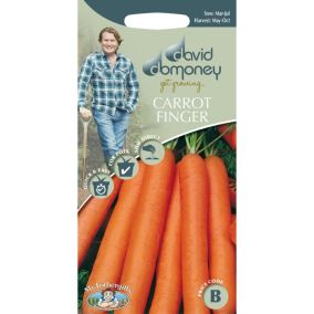 Mr FothergillsDavid Domoney Nantes 5 Carrot Seeds