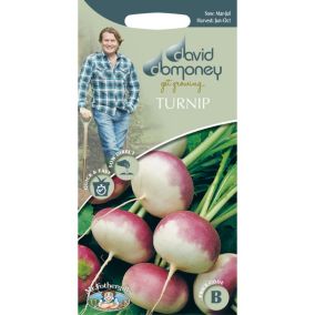 Mr FothergillsDavid Domoney Purple Top Milan Turnip Seeds