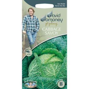 Mr FothergillsDavid Domoney (Savoy) Ormskirk (I) Cabbage Seeds