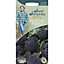 Mr FothergillsDavid Domoney (Sprouting) Summer Purple Broccoli Seeds