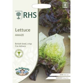 Mr FothergillsRHS Amaze Lettuce Seeds