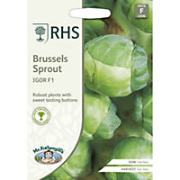Mr FothergillsRHS Igor F1 Brussel sprout Brussel sprout Seeds