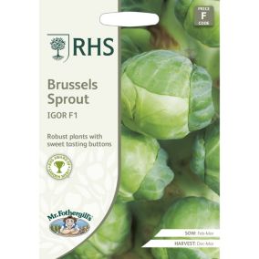 Mr FothergillsRHS Igor F1 Brussel sprout Brussel sprout Seeds