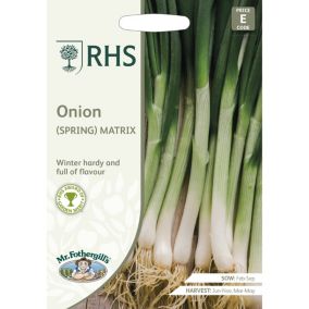 Mr FothergillsRHS Matrix Spring onion Spring onion Seeds