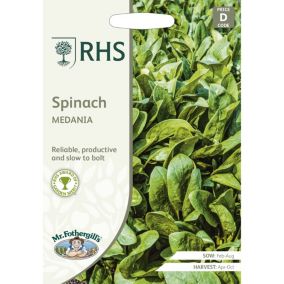 Mr FothergillsRHS Medania Spinach Seeds