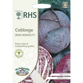 Mr FothergillsRHS Red Rookie F1 Cabbage Seeds