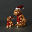 Multicolour Dog & puppy LED Electrical christmas decoration Set of 2