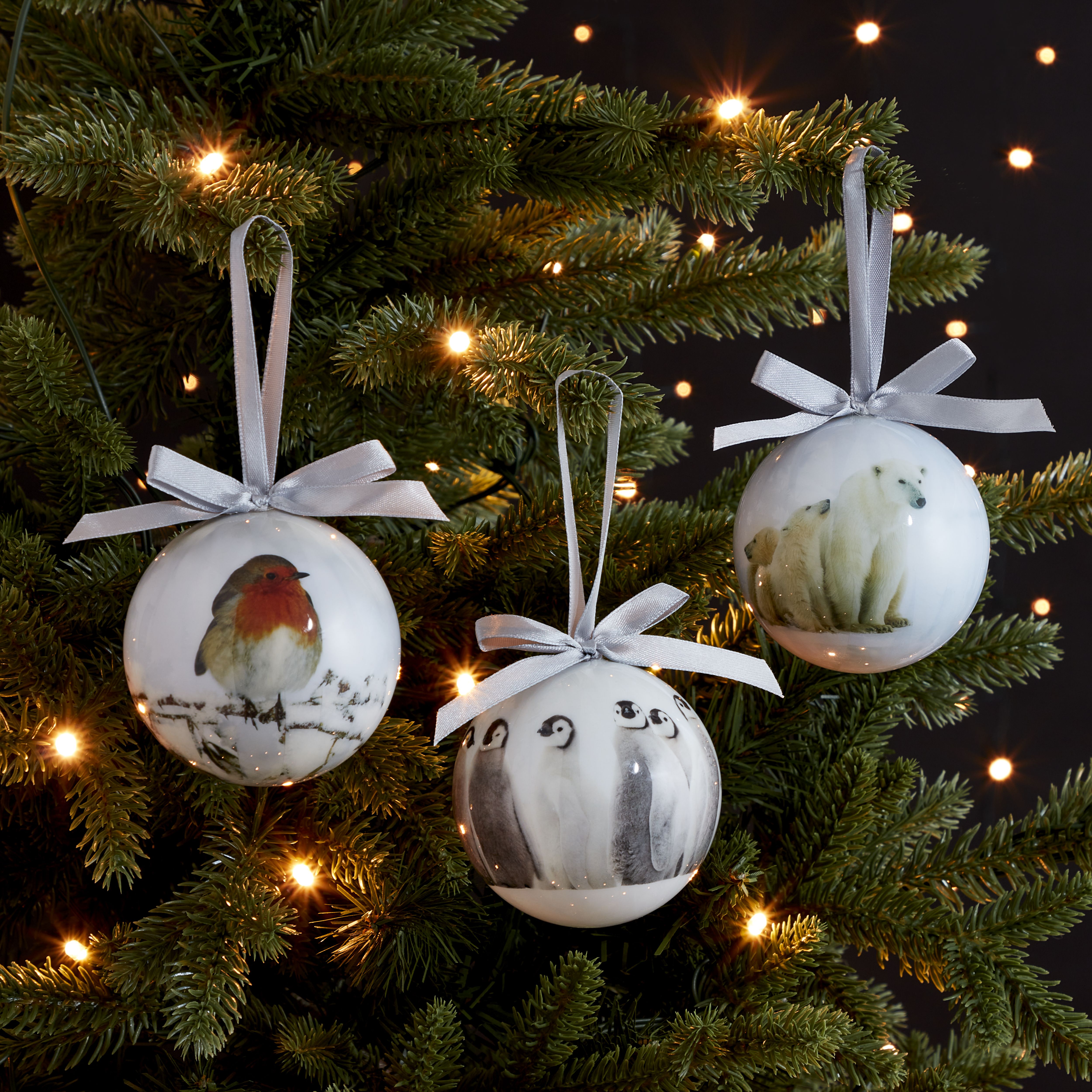 Multicolour Plastic Decoupage Photographic Robin Bauble