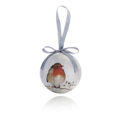 Multicolour Plastic Decoupage Photographic Robin Bauble