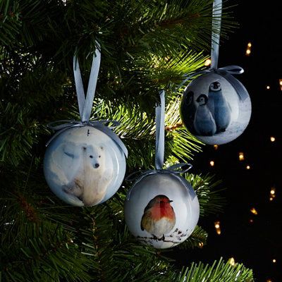 Multicolour Plastic Decoupage Photographic Robin Bauble