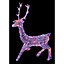 Multicolour StagLED Electrical christmas decoration