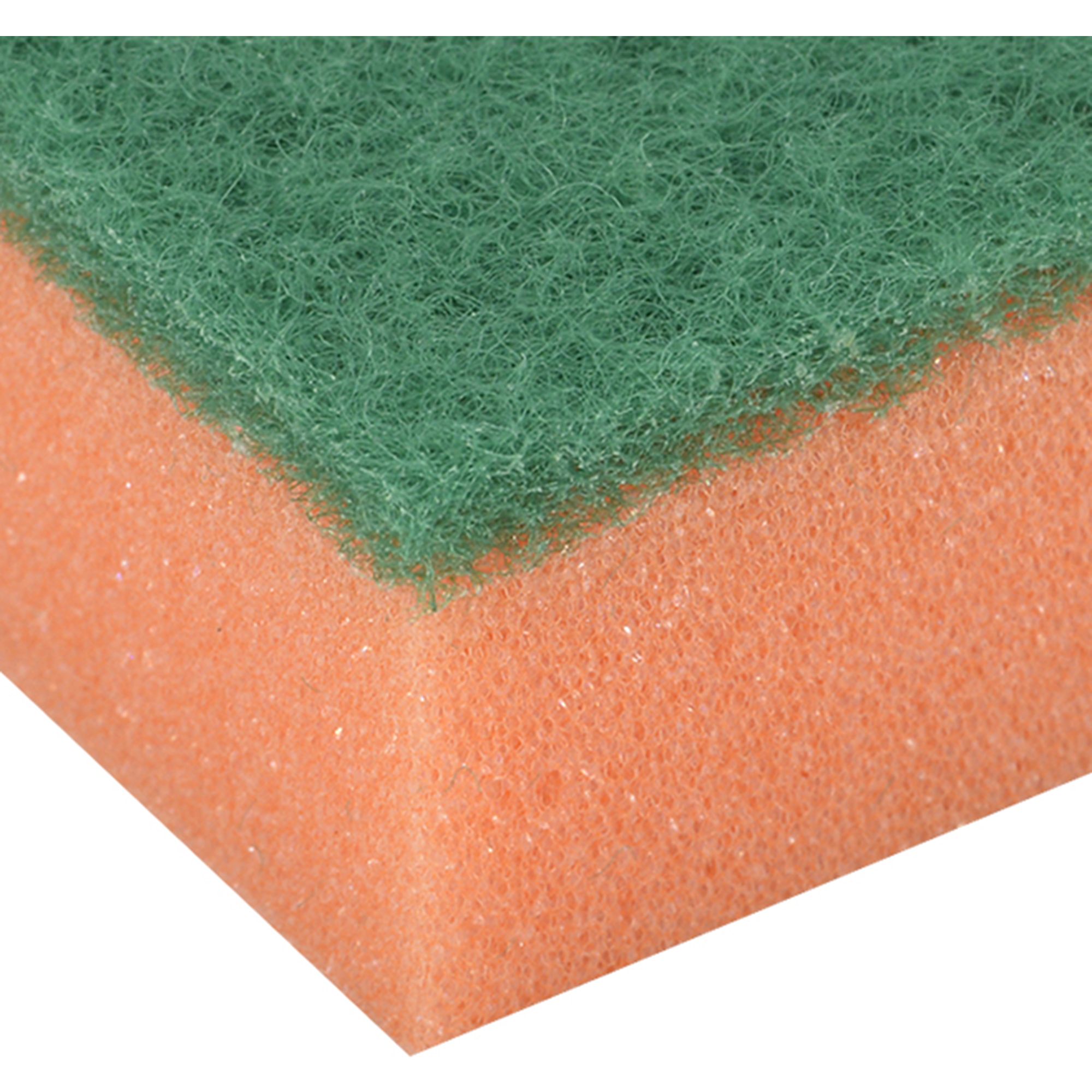Multicolour Synthetic sponge scourer, Pack of 20