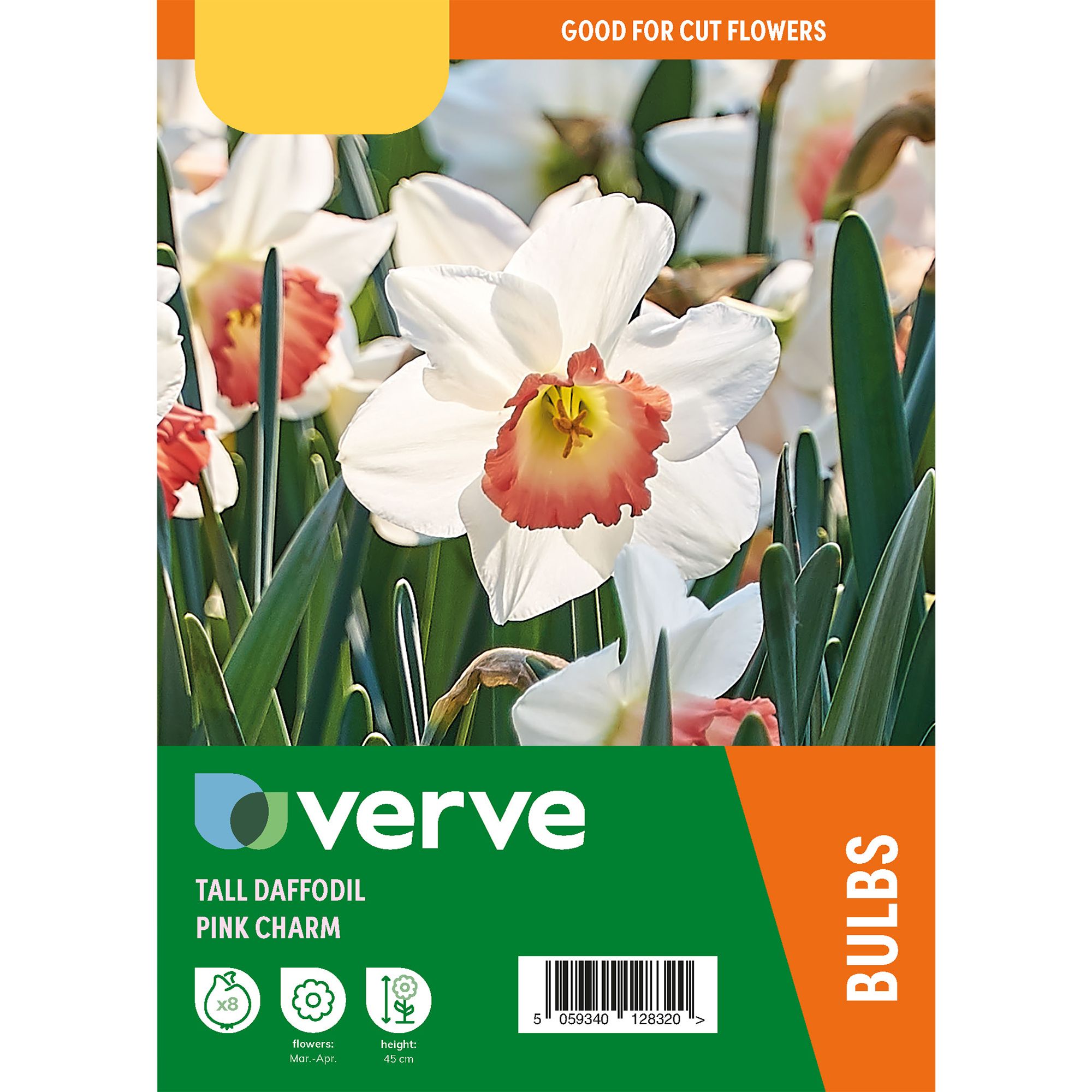 Narcissus Pink Charm 8 Flower bulbs - 4