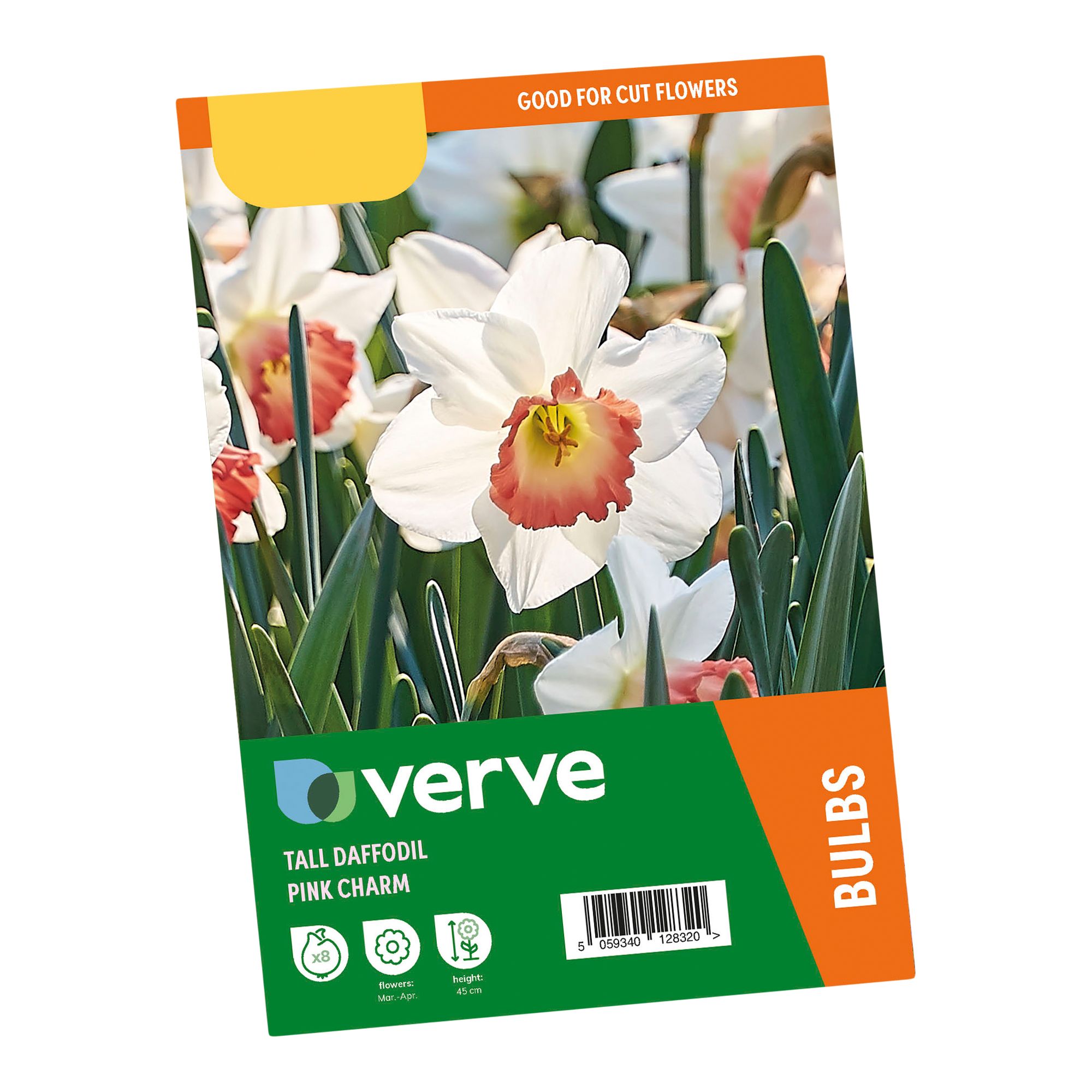 Narcissus Pink Charm 8 Flower bulbs - 3