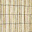 Natural Reed Garden screen (H)1m (W)3m