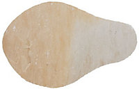 Natural sandstone Fossil buff Stepping stone