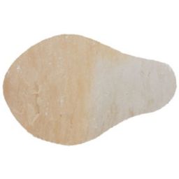 Natural sandstone Fossil buff Stepping stone