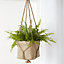 Natural Seagrass Herringbone Circular Plant pot (Dia)20.5cm