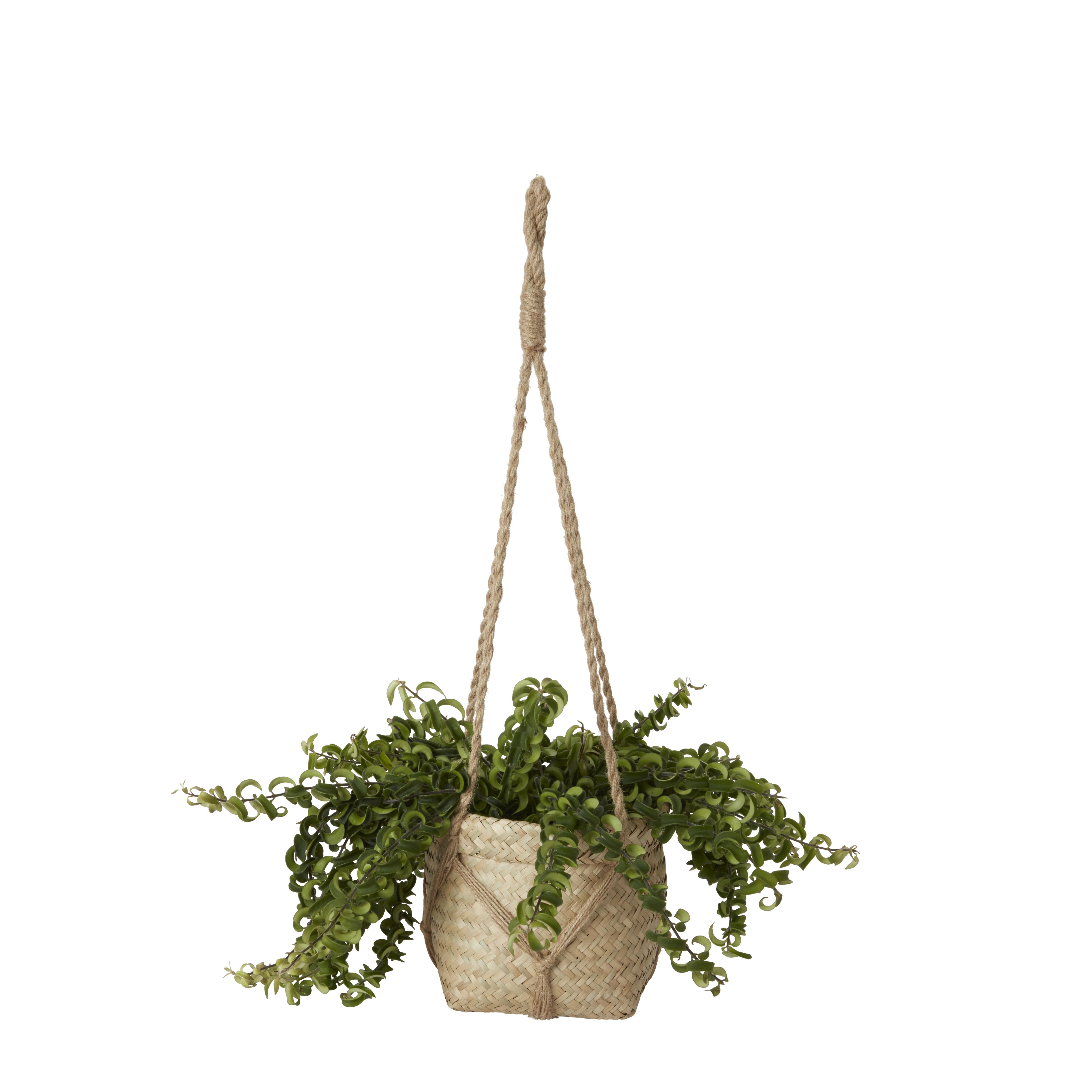Natural Seagrass Herringbone Circular Plant pot (Dia)20.5cm