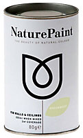 NaturePaint Brookweed Flat matt Emulsion paint, 200ml Tester pot