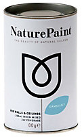 NaturePaint Damselfly Flat matt Emulsion paint, 200ml Tester pot