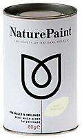 NaturePaint Dog's mercury Flat matt Emulsion paint, 200ml