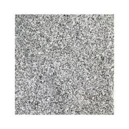 New Rhode Island Light grey Natural granite Paving slab (L)400mm (W)400mm