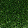 Newhaven High density Artificial grass 12m² (T)40mm