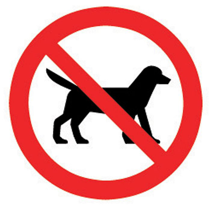 Перечеркнутая собака в круге. Табличка выгул собак запрещен. Табличка с собакой запрещено. Значок выгул собак запрещен. Табличка без собак.
