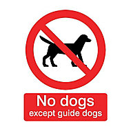 No dogs except guide dogs Self-adhesive labels, (H)100mm (W)100mm