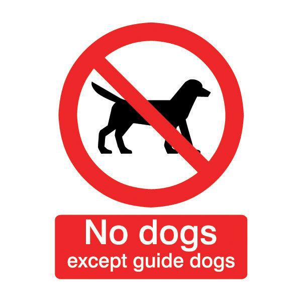 No dogs except guide dogs Selfadhesive labels, (H)100mm (W)100mm DIY