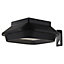 Non-adjustable Black Solar-powered LED Outdoor Wall light