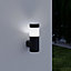 Non-adjustable Dark grey Solar-powered Integrated LED Without motion sensor Outdoor Wall light