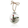 Nordic tradition Clear Foliage & snow filled Bauble