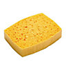 Oakey Sand Sponge