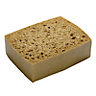 Oakey Sand Sponge