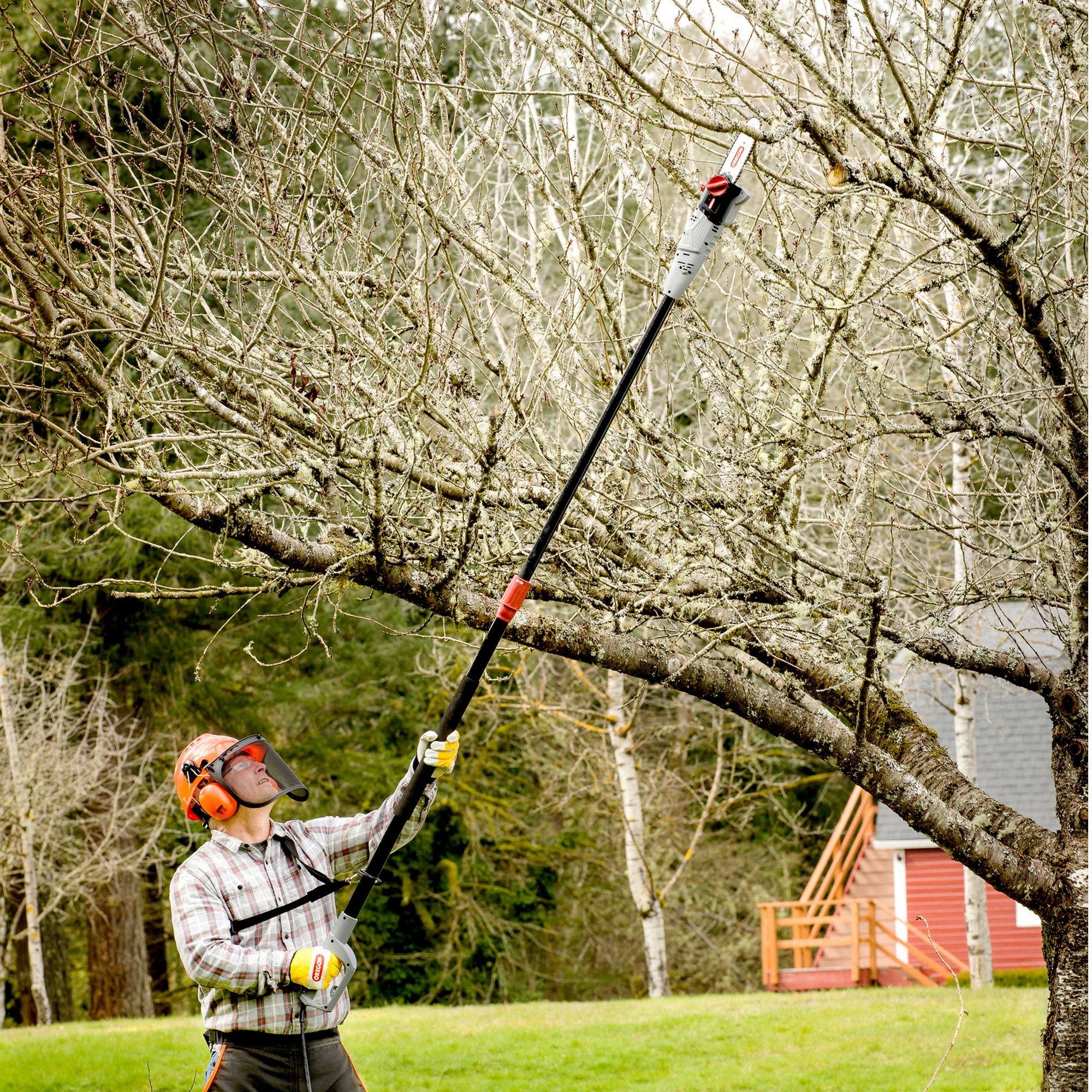 Oregon 230V Corded Pole saw PS750