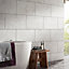 Oscano Pebble Matt Stone effect Ceramic Wall & floor Tile, Pack of 6, (L)498mm (W)298mm