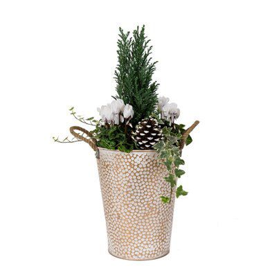 OUTDOOR WINTER PLANTER 25CMX25CM
