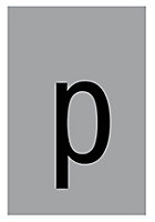 P symbol Silver effect Self-adhesive labels, (H)60mm (W)40mm