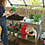 Palram 2 tier Greenhouse workbench
