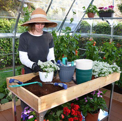 Palram Americana 12x12 Greenhouse