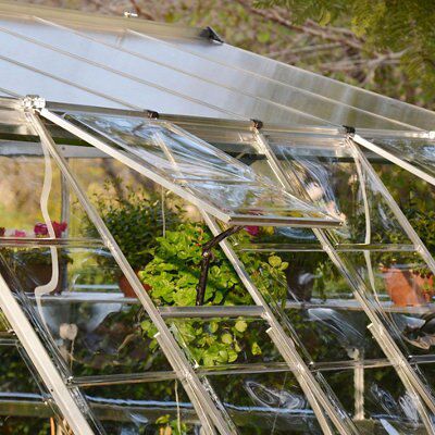 Palram Americana 12x12 Greenhouse