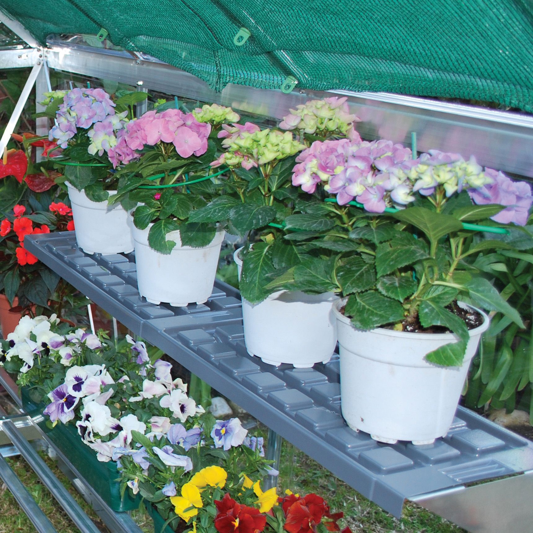 Palram - Canopia 1 tier Greenhouse shelving