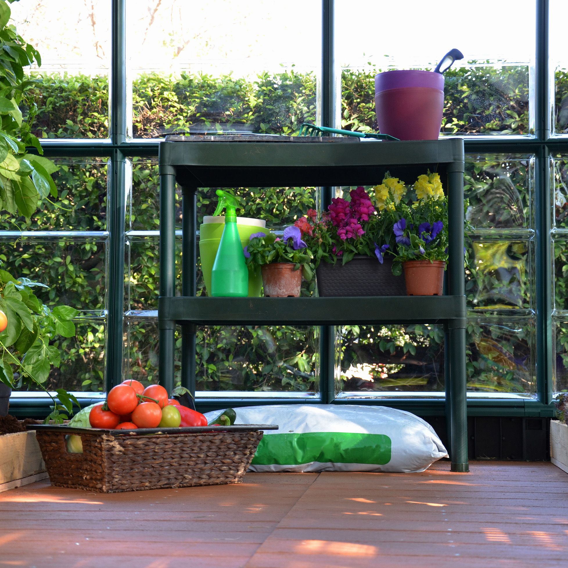 Palram Canopia 2 tier Greenhouse staging DIY at B Q