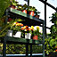 Palram - Canopia 2 tier Greenhouse staging