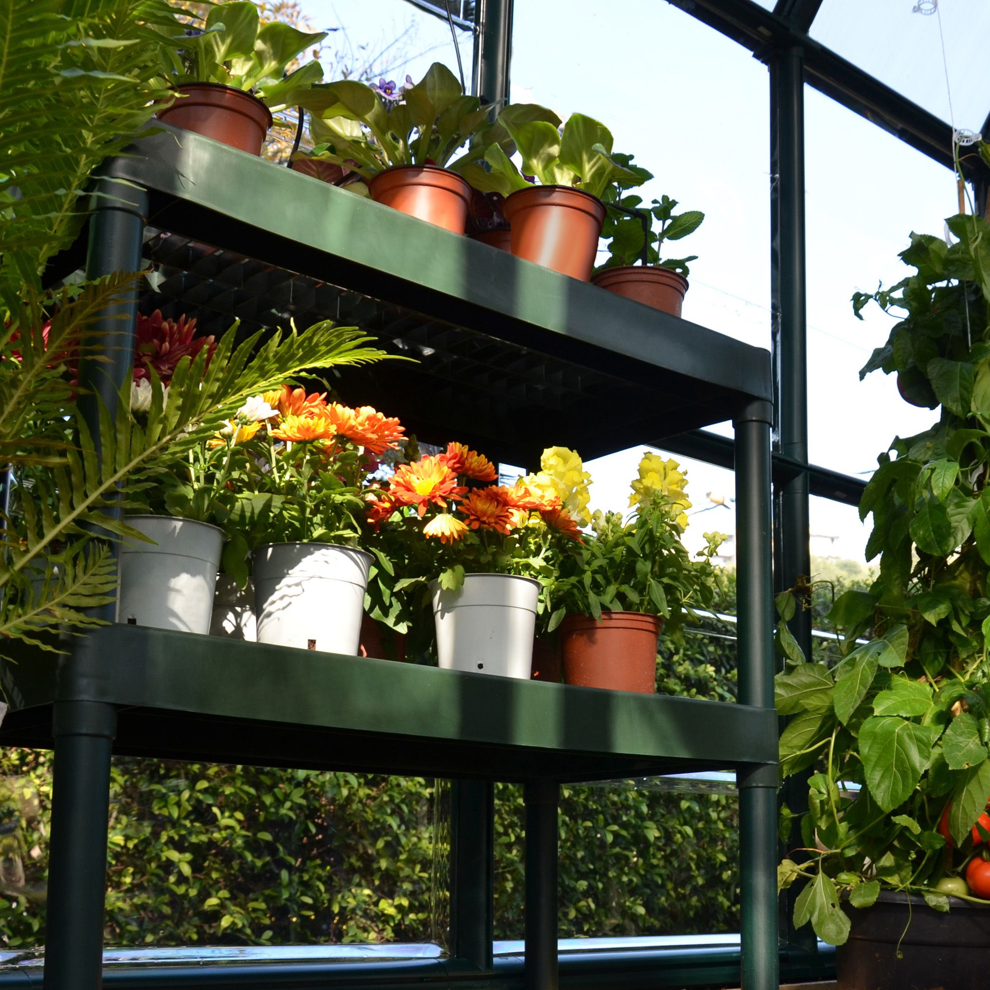 Wooden greenhouse staging b&q store