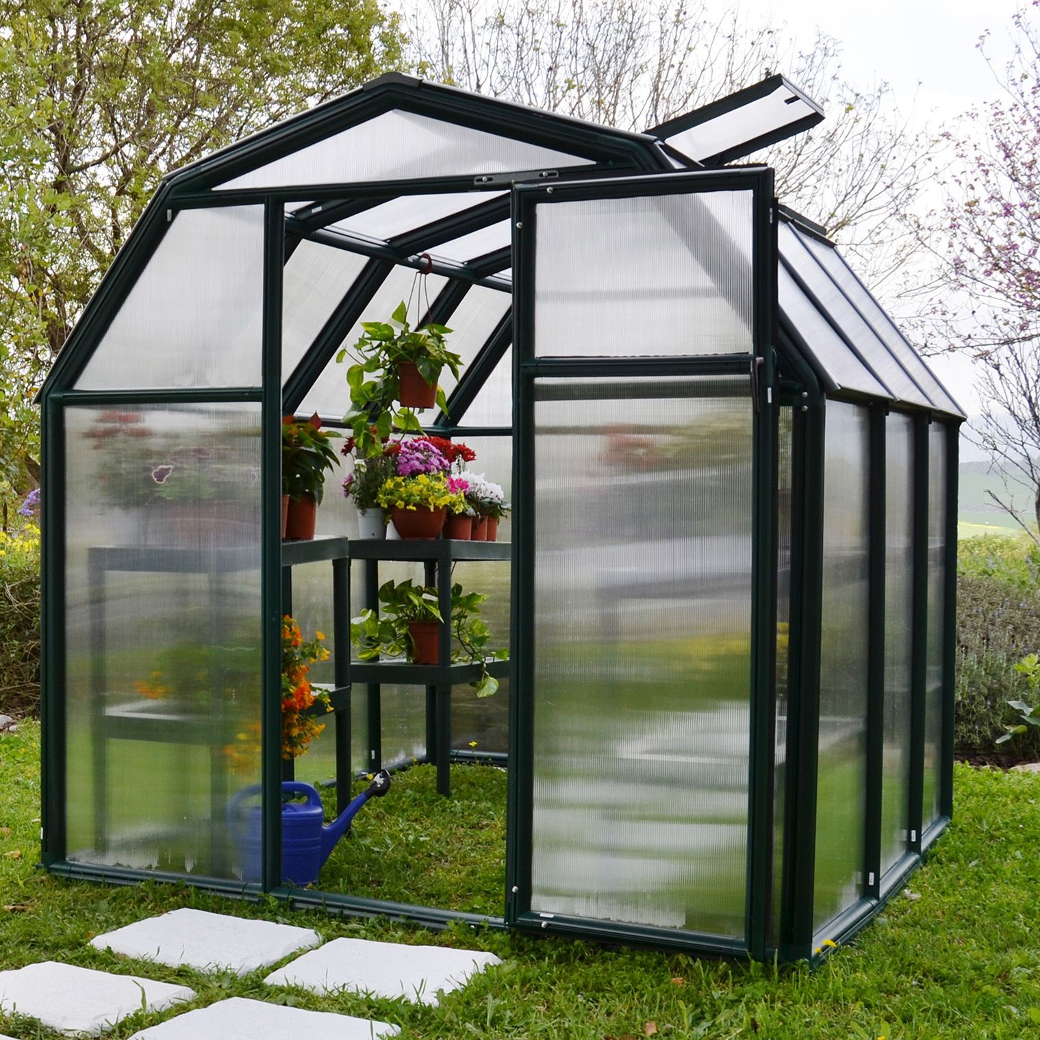 Palram - Canopia Eco Grow Green 6x6 Greenhouse