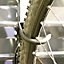 Palram - Canopia Silver Wall-mounted Bike hanger, (H)40mm (L)260mm