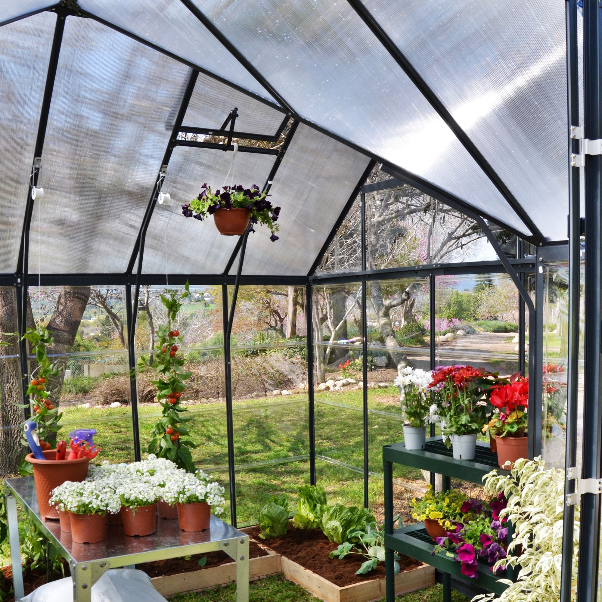 Palram - Canopia Victory Dark grey 12x10 Greenhouse